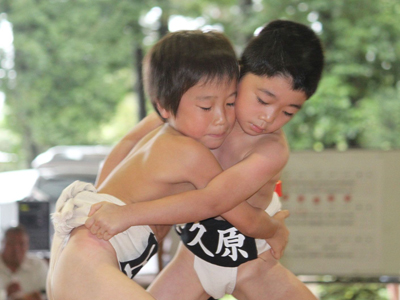 小さな子供たちがお互いのまわしをつかみあい取組をしている様子の写真