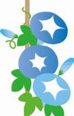 朝顔の花弁が開いているイラスト