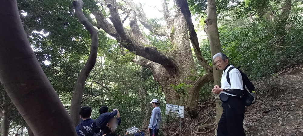 立花山調査の様子1