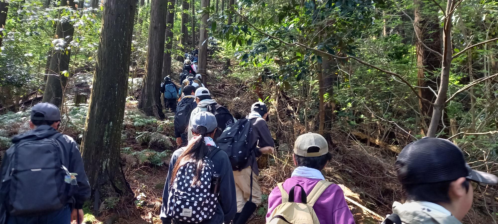 猪野公園側からの登山道