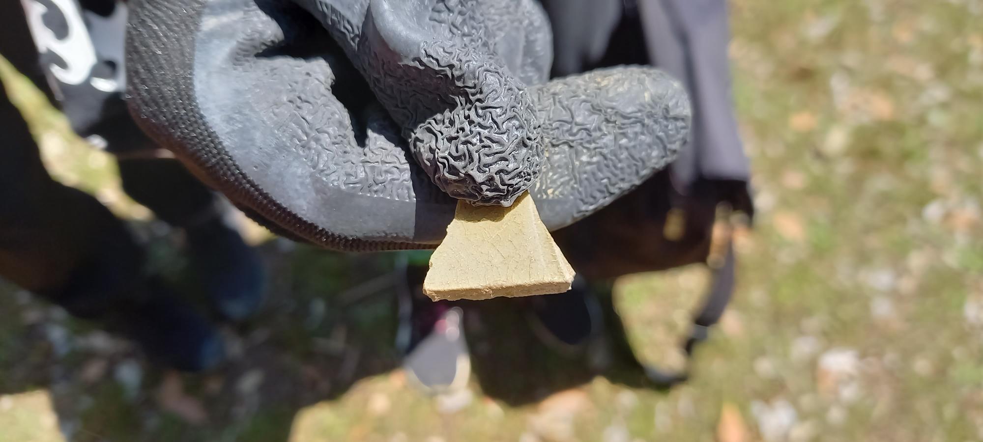 貴重な出土品