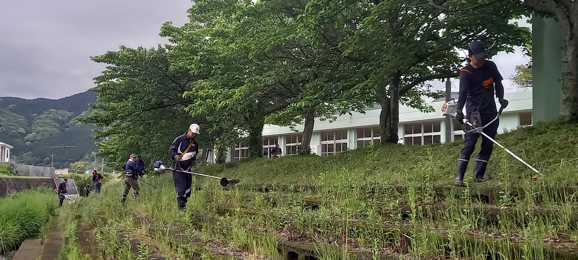 早朝からの草刈り