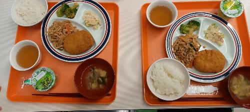 キャンプ一日目後半3