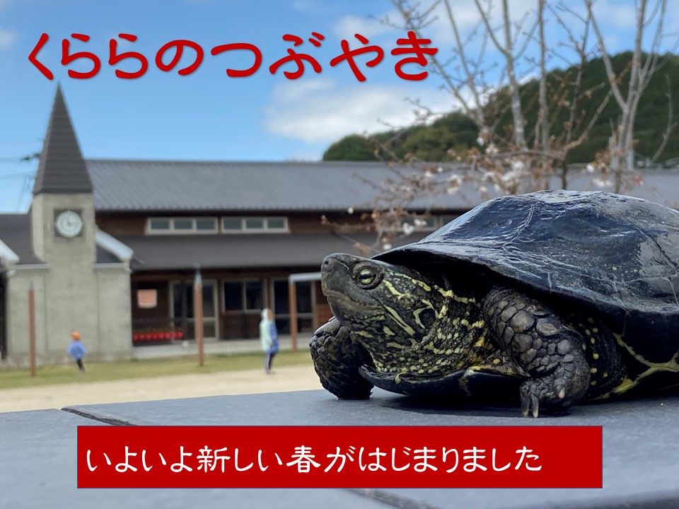 2025年4月くららのつぶやき表紙