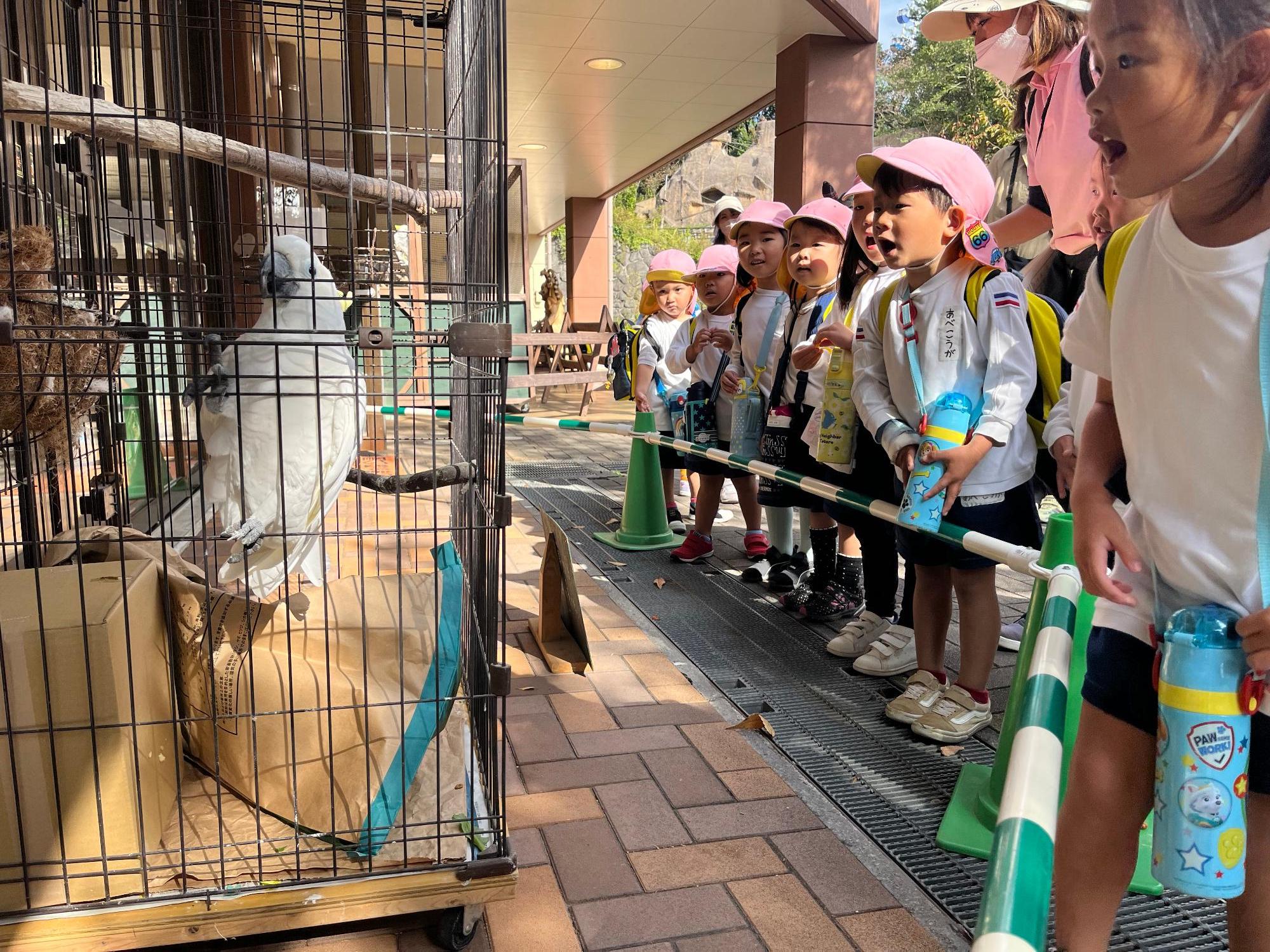 おうむ