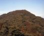 木々が薄く赤みがかっている立花山(たちばなやま)の写真
