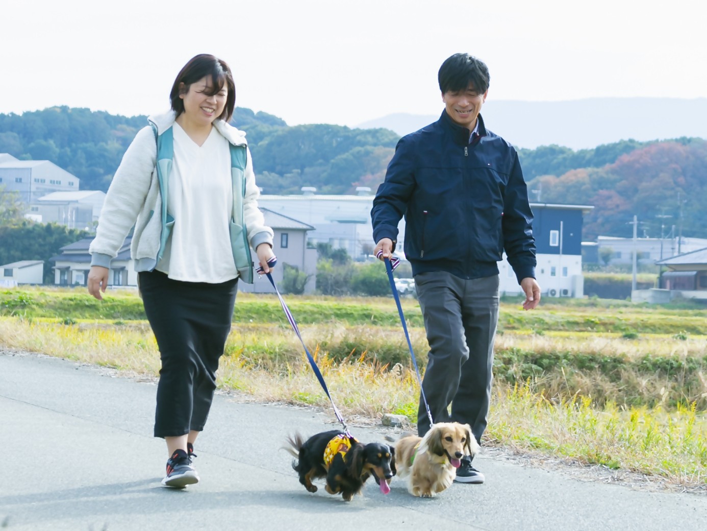 かしょうさん