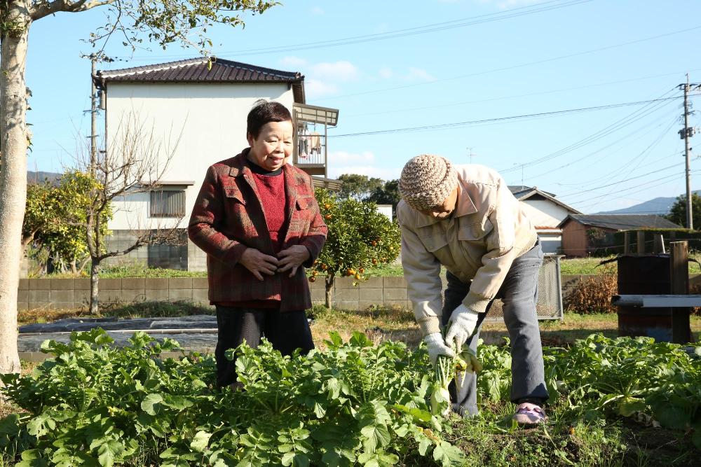 仲良く畑仕事をする城戸さん夫婦