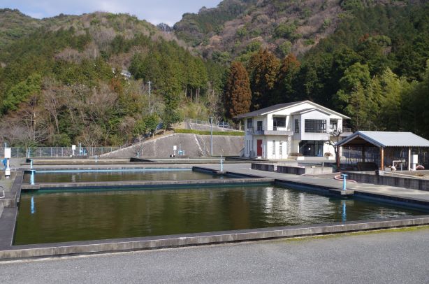 奥に山が見え、手前に四角く囲まれたプールのような場所に水が入っている浄水場の写真