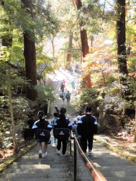 森の中にある、中央に手すりが設置された石階段を下りていく生徒たちの写真