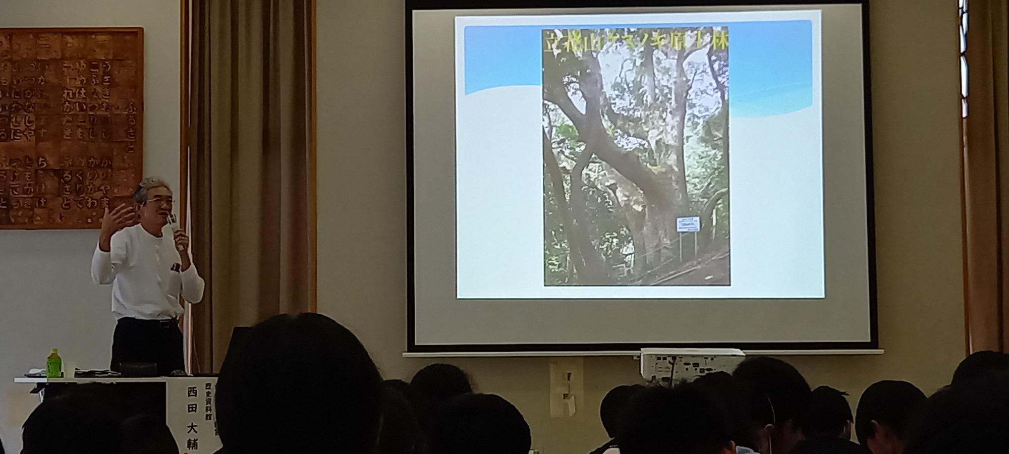 立花山の大クス