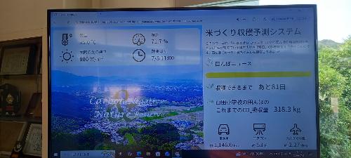 五年生の田んぼ6