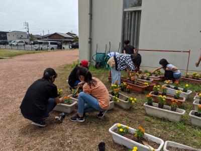 校舎の傍の屋外に茶色と白色のプランターが並び、子供たちが黄色やオレンジ色の花の苗を植えている写真