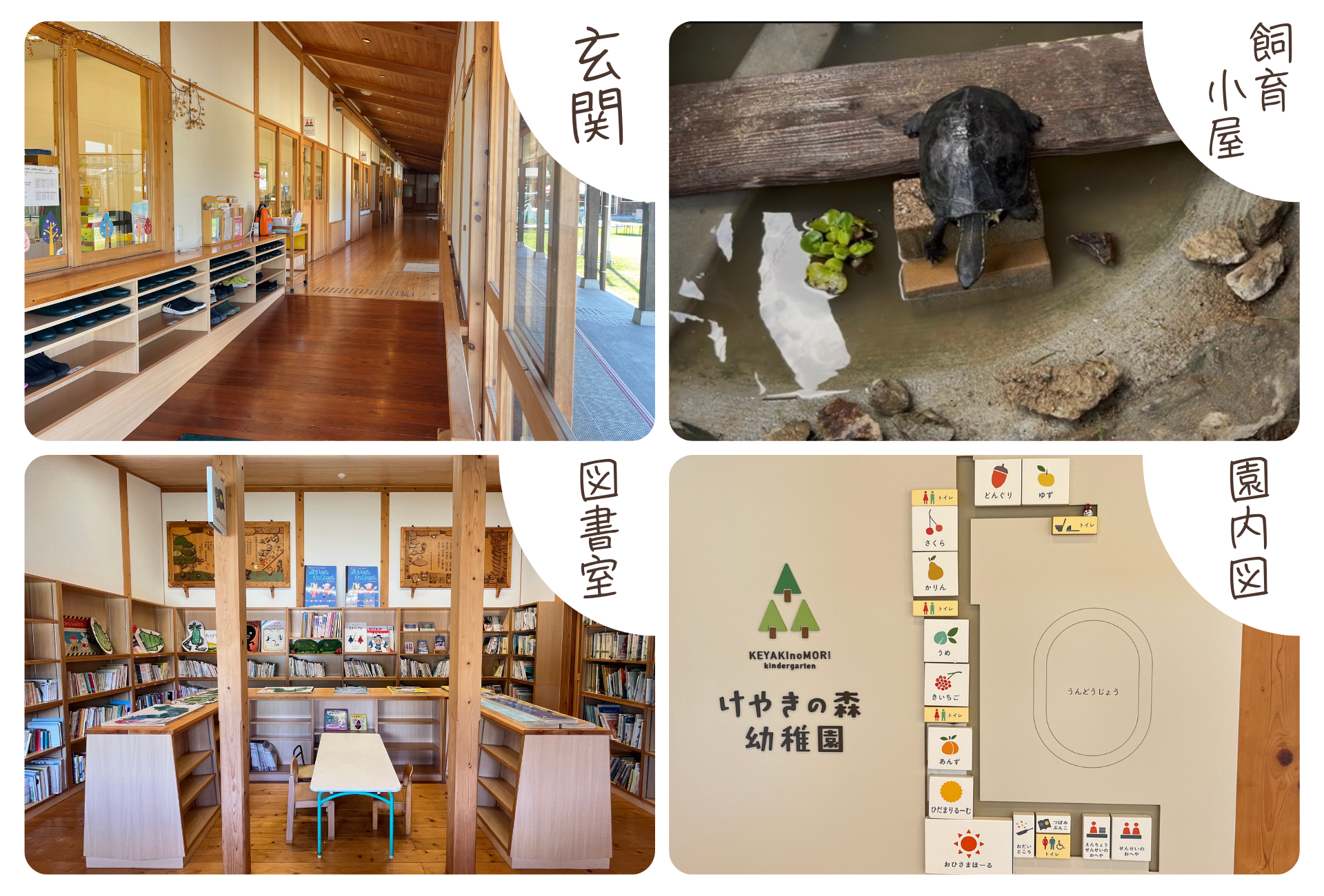 幼稚園内の環境を説明する画像