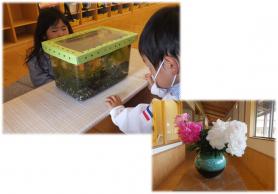 左：カゴに入った生き物を男の子と女の子が眺めている写真、右：花瓶に入ったピンクと白の花の写真