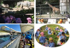 左上：像を見ている園児たちの写真、右上：キリンを見ている園児たちの写真、左下：ペンギンを見ている園児たちの写真、右下：草の上にシートを広げてお弁当を食べている園児たちの写真