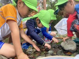 浅い川に入って集まった子供たちが川の中を覗き込んでいる写真