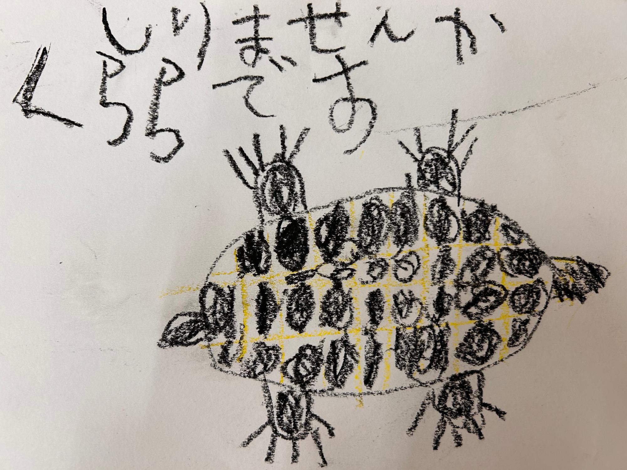 2026年かめのクララの絵2