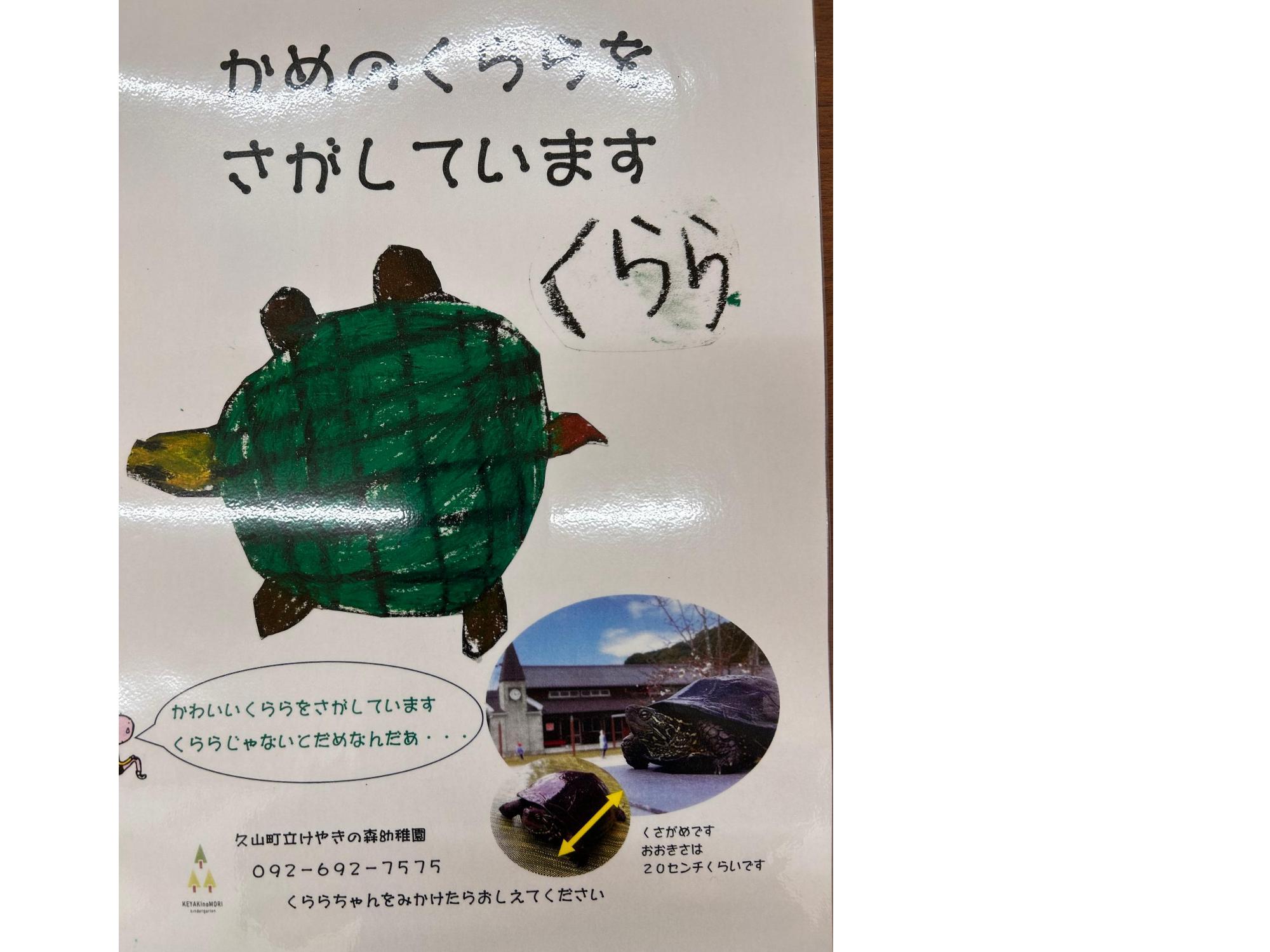 2026年かめのクララ捜索大作戦ポスター