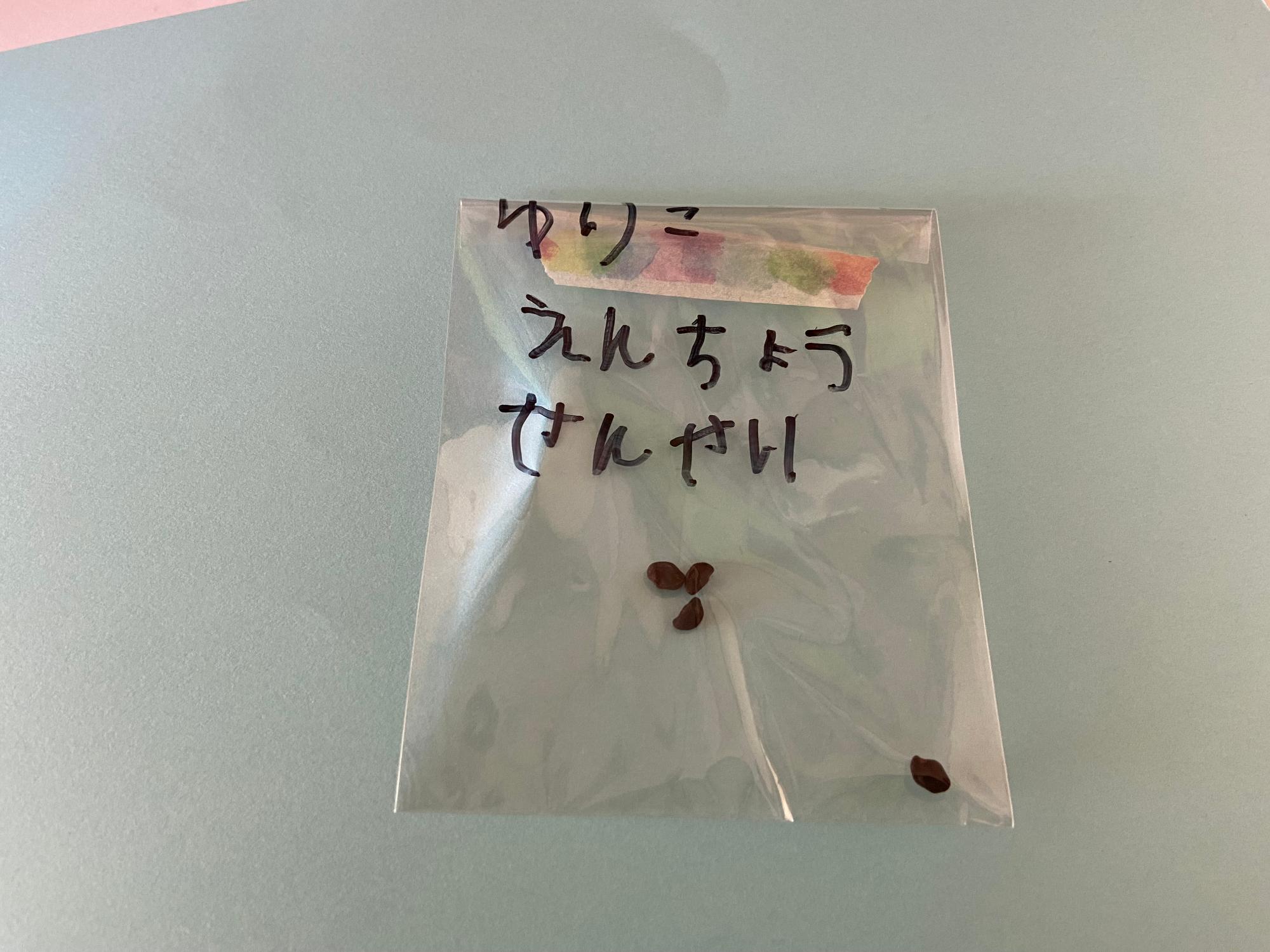朝顔の種のおすそ分け