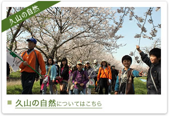 桜の木の下を並んで歩いている人達の写真