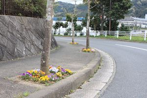 道路横に並ぶ街路樹3本の根元に植えられた花々の写真