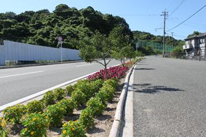 道路と歩道の間に造られた花壇の小さな黄色の花が少し咲き、その奥では赤紫の花が咲いている写真