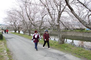 川の横の桜並木のある赤坂緑道を歩いている人々の写真